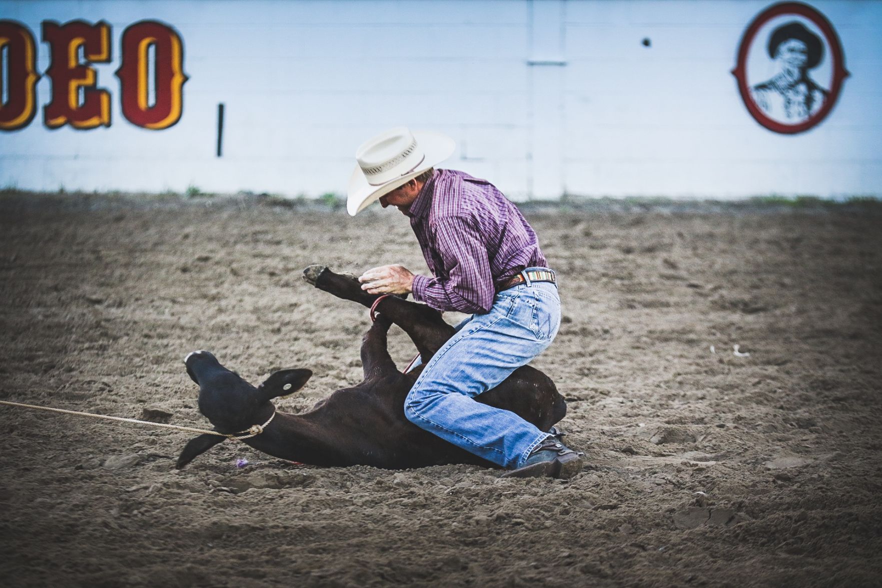 Buffalo Bill Rodeo Night 1 (17).jpg